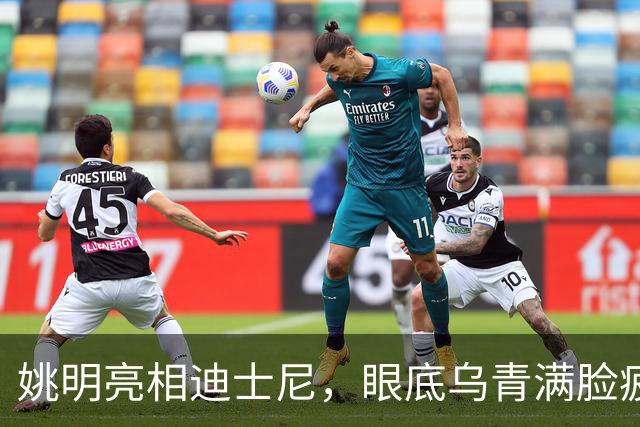 姚明亮相迪士尼，眼底乌青满脸疲惫，一身伤病走路一瘸一拐太沧桑
